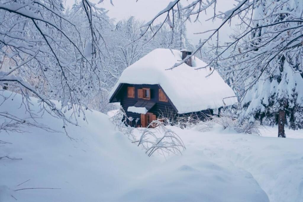 Cottage In The Woods - Lake Бохінь Екстер'єр фото
